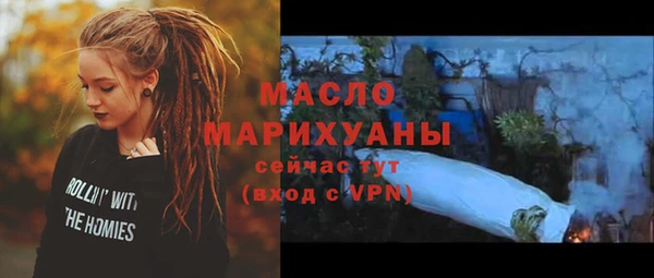 шишки Мегион