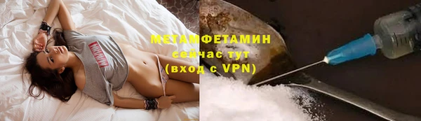 шишки Мегион
