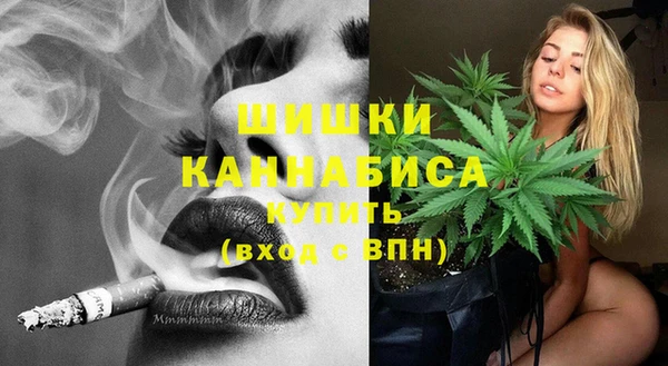 шишки Мегион