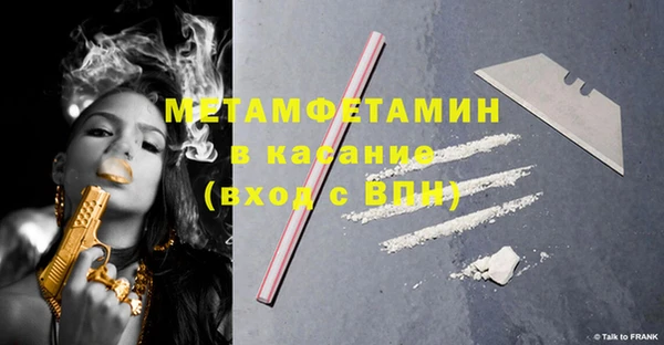 шишки Мегион