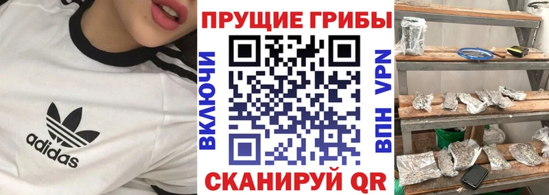 Псилоцибиновые грибы MAGIC MUSHROOMS  купить  сайты  Чегем 